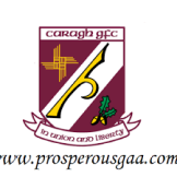 Croi Laighean Prosperous GAA Sponsorship
